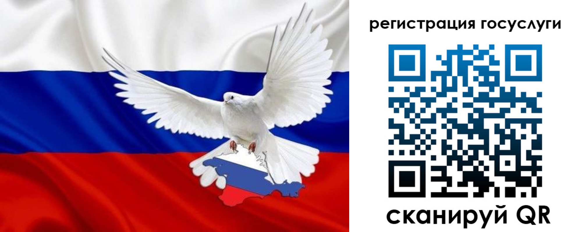прописка законно в Козельске